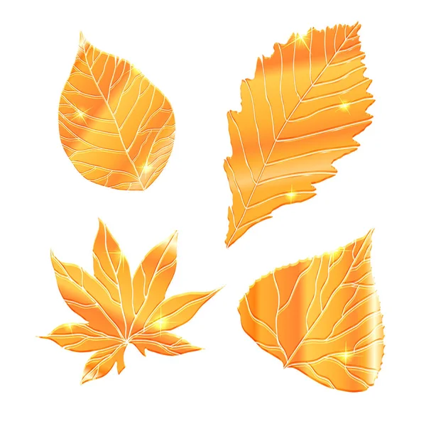 Set Aus Realistischen Goldenen Blättern Mit Funkeln — Stockvektor