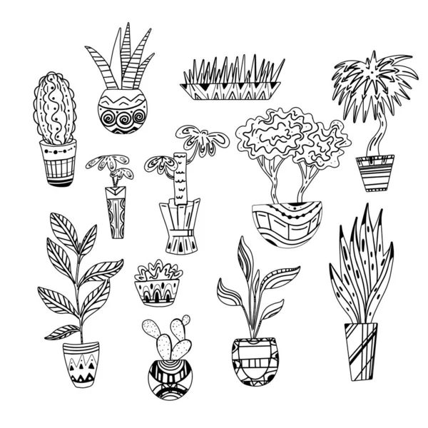 Conjunto de ilustraciones de contorno de flores caseras con patrones. Plantas de arte. Objeto vectorial — Archivo Imágenes Vectoriales