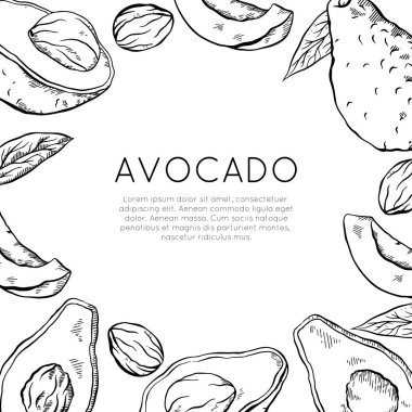 Avokado çizimi yapılmış kare kart ve metin için yer. Sağlıklı keto