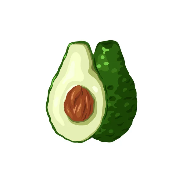 Illustrazione di avocado dei cartoni animati. Vari elementi di avocado sl — Vettoriale Stock