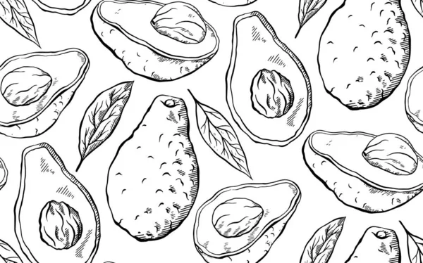 Seamless pattern with avocado sketch on a white background. Engr — ストックベクタ