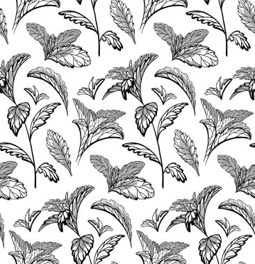 Sade bitkisel şablon, stevia ve naneli. Natur.