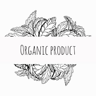 Organik ürün. Üzerinde bitki ve çimen çizimi olan bir kart. Vektör te
