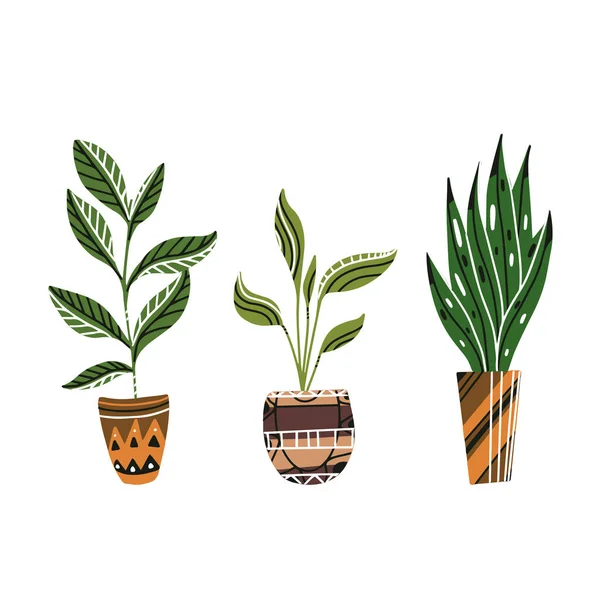 Uppsättning färgglada plana krukväxter i krukor med dekorationer. Aloe — Stock vektor