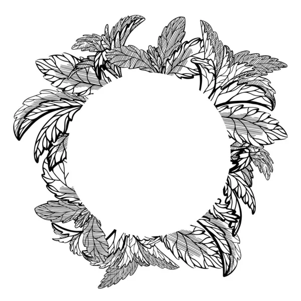 Marco circular con boceto de plantas y hierba. Plantilla vectorial fo — Archivo Imágenes Vectoriales