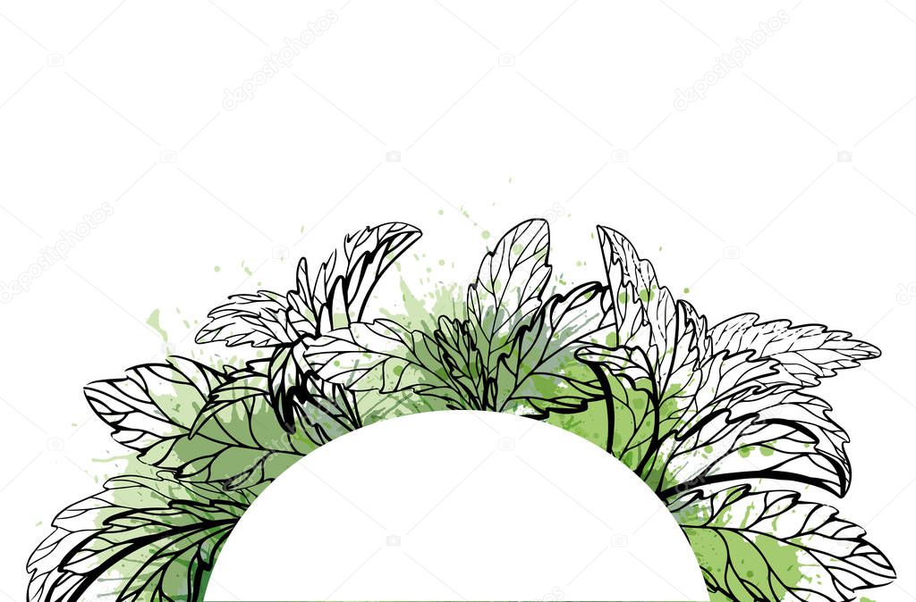 Outline medicine herbal drawing. Semicircle frame with sketch of