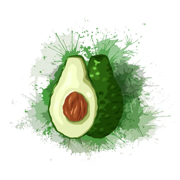 Realistické Avokádo Zelenými Akvarely Přední Pohled Složení Pro Keto Dietu — Stockový vektor