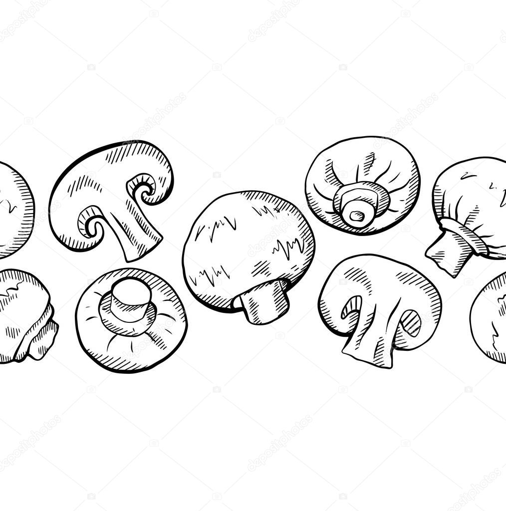 Seamless border of hand drawn sketch of champignon mushrooms with hatching isolated from background. Healthy wholesome vegetarian food. Vector engraving texture for frame and your creativity.