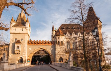 Vajdahunyad Şatosu, Macaristan 'ın Budapeşte kentinde yer alan bir kaledir.