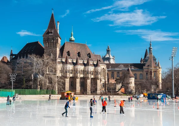Vajdahunyad castle Budapeşte'önünde insanlar buz pateni