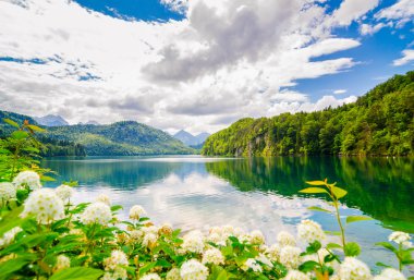 Bir göldür Bavaria, Almanya için Alpsee.
