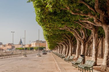 Sokak sokak Foro Vittorio Emanuele II Syracuse Ortygia Adası üzerinde boyunca ağaçlar