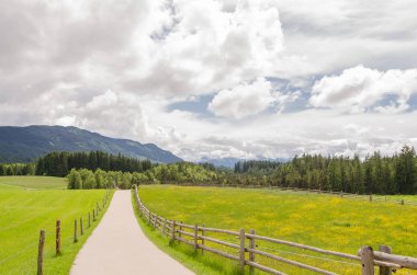 Bavyera Alpleri'nde yeşil bir alana geçen köy yolunda. Almanya.