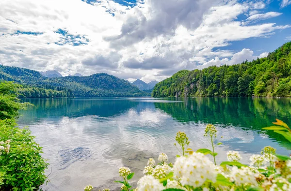 Alpsee on järvi Baijerissa, Saksassa . — kuvapankkivalokuva