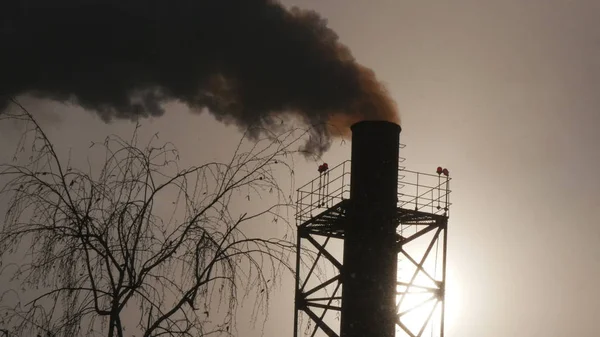 Industrial smoke from a pipe on a blue sky silhouette