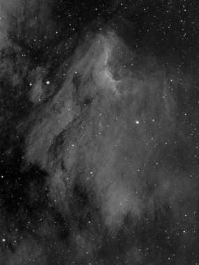 Pelican Nebula IC5070 in Hydrogen Alpha clipart