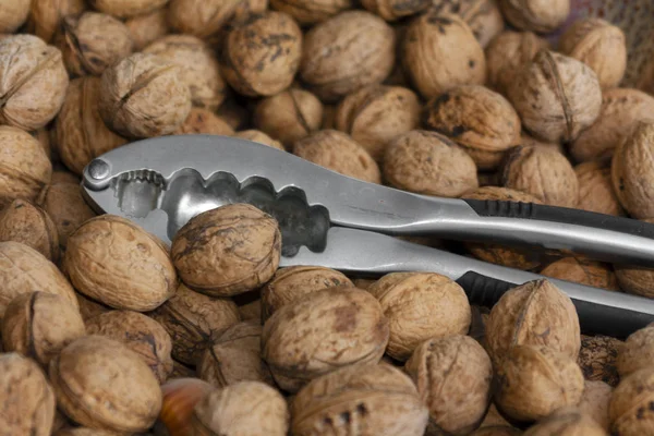 Fındıkkıran arasında fındık ve ceviz