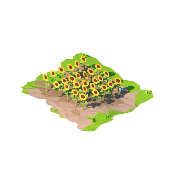 Isometrische Low-Poly-Sonnenblumen, 3D-Rendering — Stockfoto