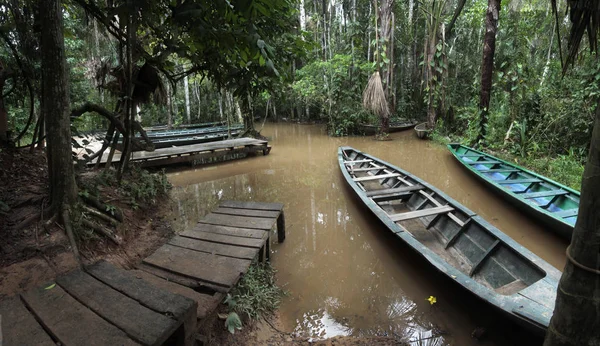 Yağmur ormanları wharf yakınındaki Puerto Maldonado ve Madre de Dios Nehri, Amazon Peru Sandoval gölde