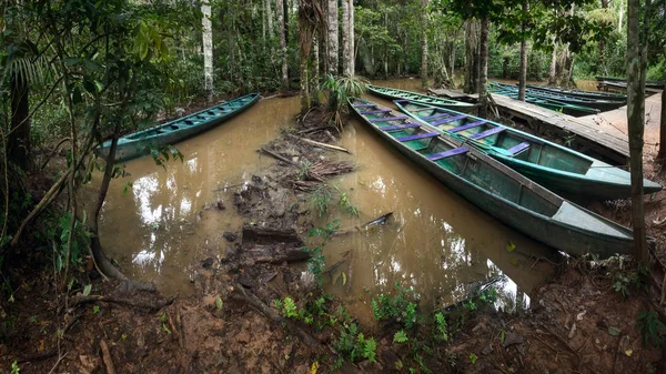 Yağmur ormanları wharf yakınındaki Puerto Maldonado ve Madre de Dios Nehri, Amazon Peru Sandoval gölde