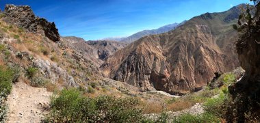 Colca Canyon, Güney Peru asıllı