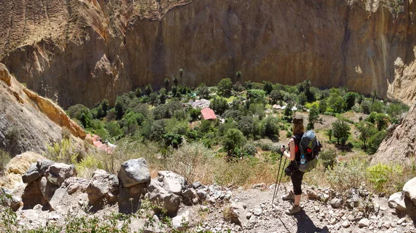 Canyon Colca Sul Peru Vista Oasis Sangalle Fundo Canyon — Fotografia de Stock