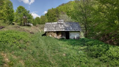 Romanya 'nın Banat kentinde Garnic yakınlarında tahıl öğütmek için kullanılan eski su değirmeni