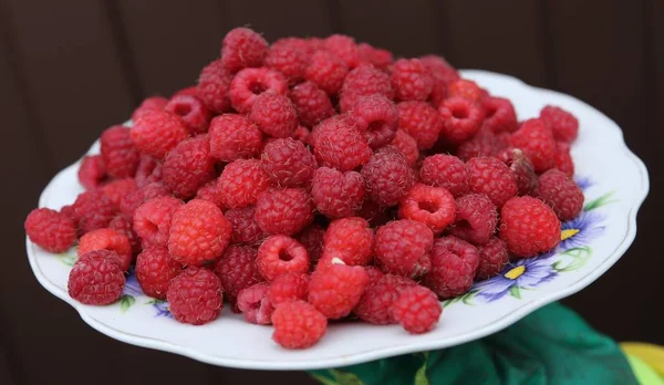 Duży talerz z ruspberry — Zdjęcie stockowe