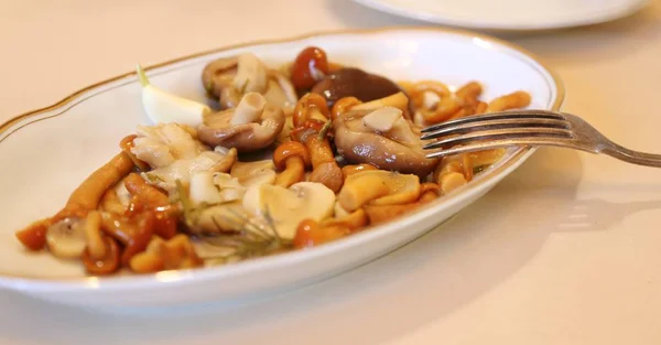 mushrooms are smallSalted in sauce wet on a plate of white and fork for food