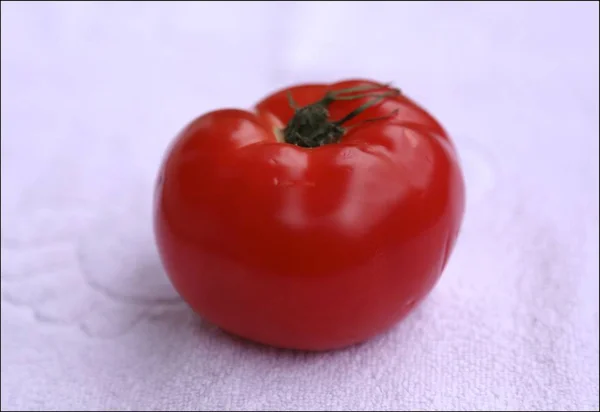 Rojo Maduro Tomate Grande Vista Lateral — Foto de Stock