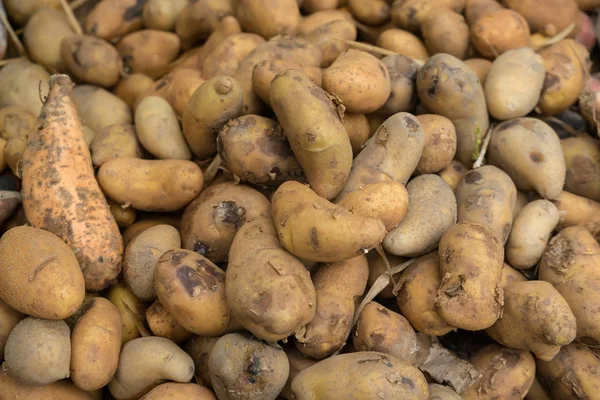 Un mucchio di patate . — Foto Stock