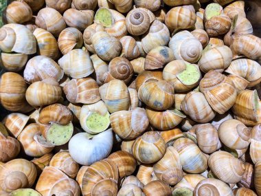 sarımsak maydanoz ezmesi veya krem ile personel salyangoz