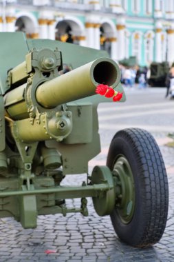 Saray topçu silahları varil içinde kırmızı karanfiller