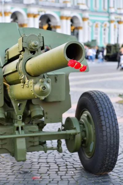 Saray topçu silahları varil içinde kırmızı karanfiller