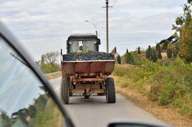 Siyah üzüm alanından tahrik bir traktör römork