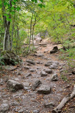 Şelale Jur-Jur kayalık dağ yolu