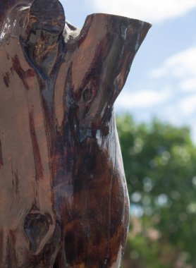 Close-up şube arka plan, mavi gökyüzü ve yeşil ağaç yapraklar karşı şube.