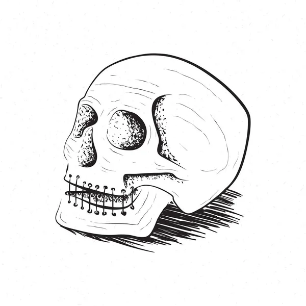 Illustration of the skull — Stock Vector