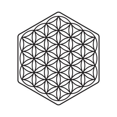 Bir çiçek yaşam, bir desen, çemberin iz