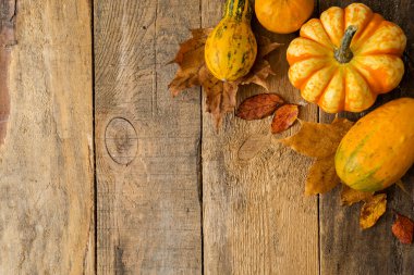 masada yapraklarla turuncu kabak