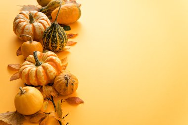 yaprakları ile turuncu kabak 