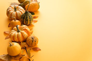 orange pumpkins with leaves  clipart