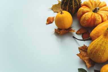 Mavi farklı kabaklar  