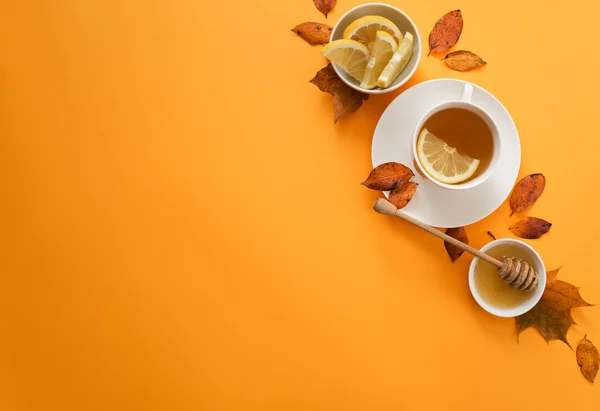 Podzimní zdravý čaj — Stock fotografie