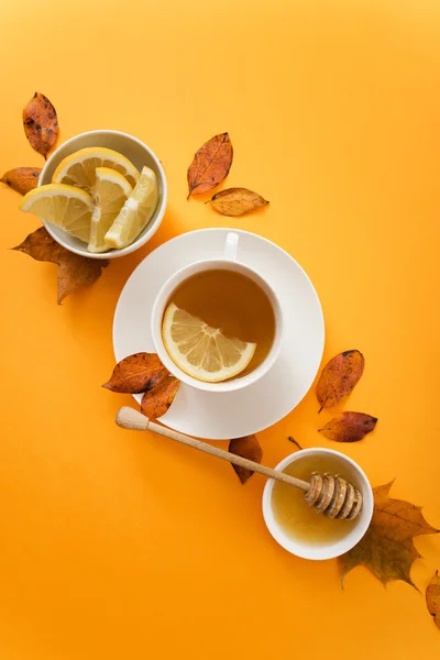 秋の健康茶 — ストック写真