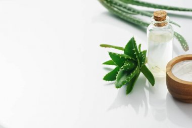 aloe vera ve kozmetik malzemeler