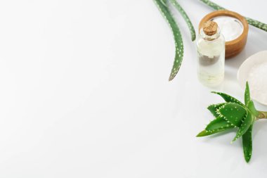 aloe vera ve beyaz arka plan üzerinde kozmetik inredients 