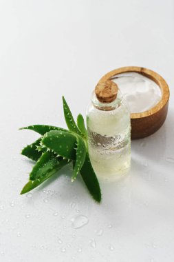 aloe vera, krem ve yağ 