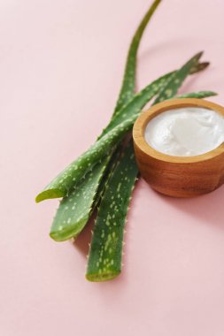 aloe vera yaprakları krem ile