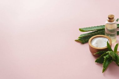 aloe vera yaprakları krem ile